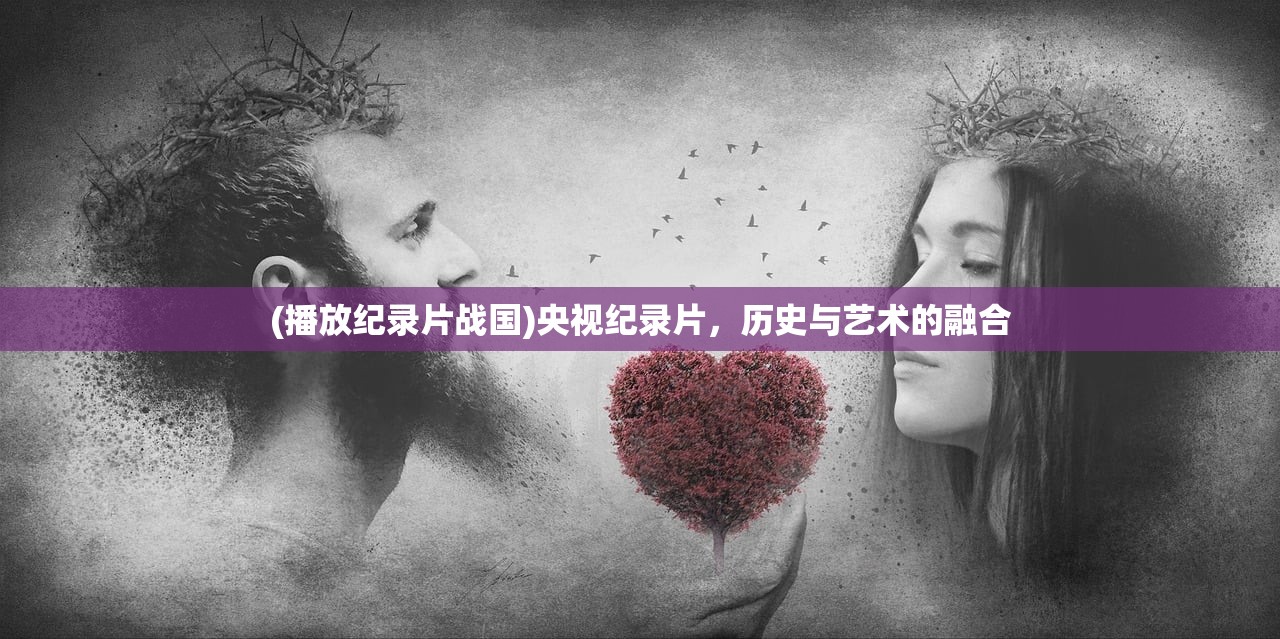 (播放纪录片战国)央视纪录片，历史与艺术的融合