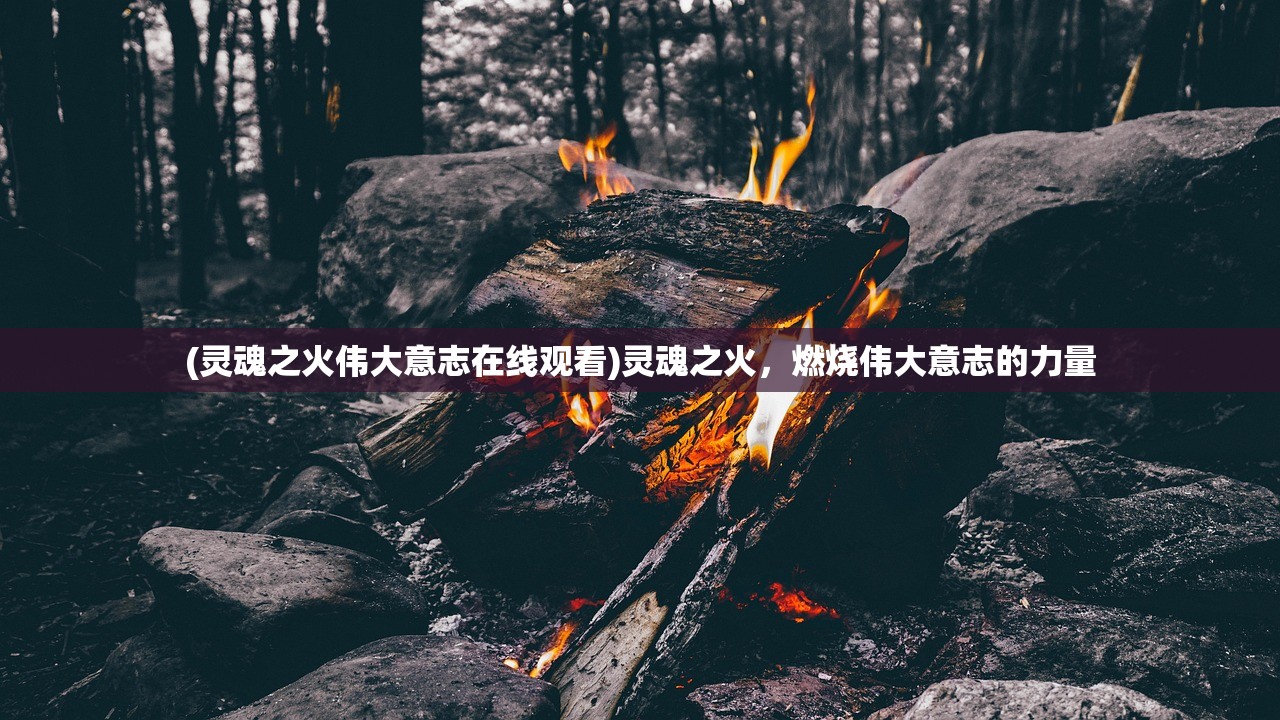 (灵魂之火伟大意志在线观看)灵魂之火，燃烧伟大意志的力量