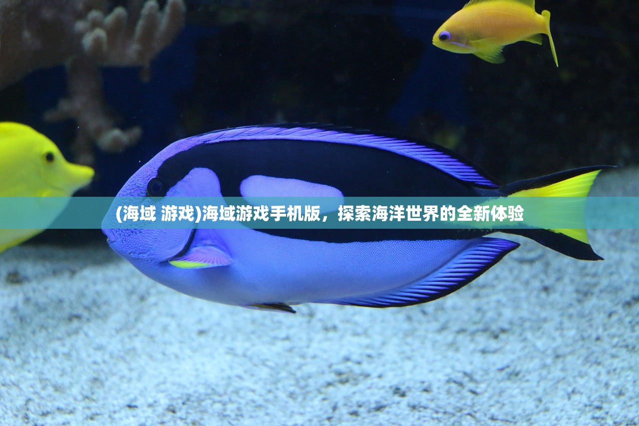 (海域 游戏)海域游戏手机版，探索海洋世界的全新体验