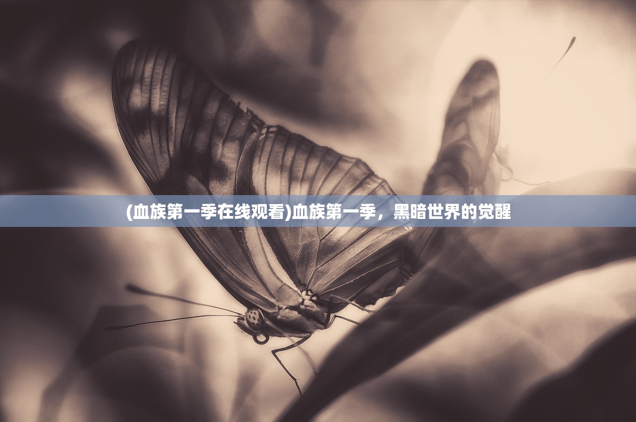 (血族第一季在线观看)血族第一季，黑暗世界的觉醒