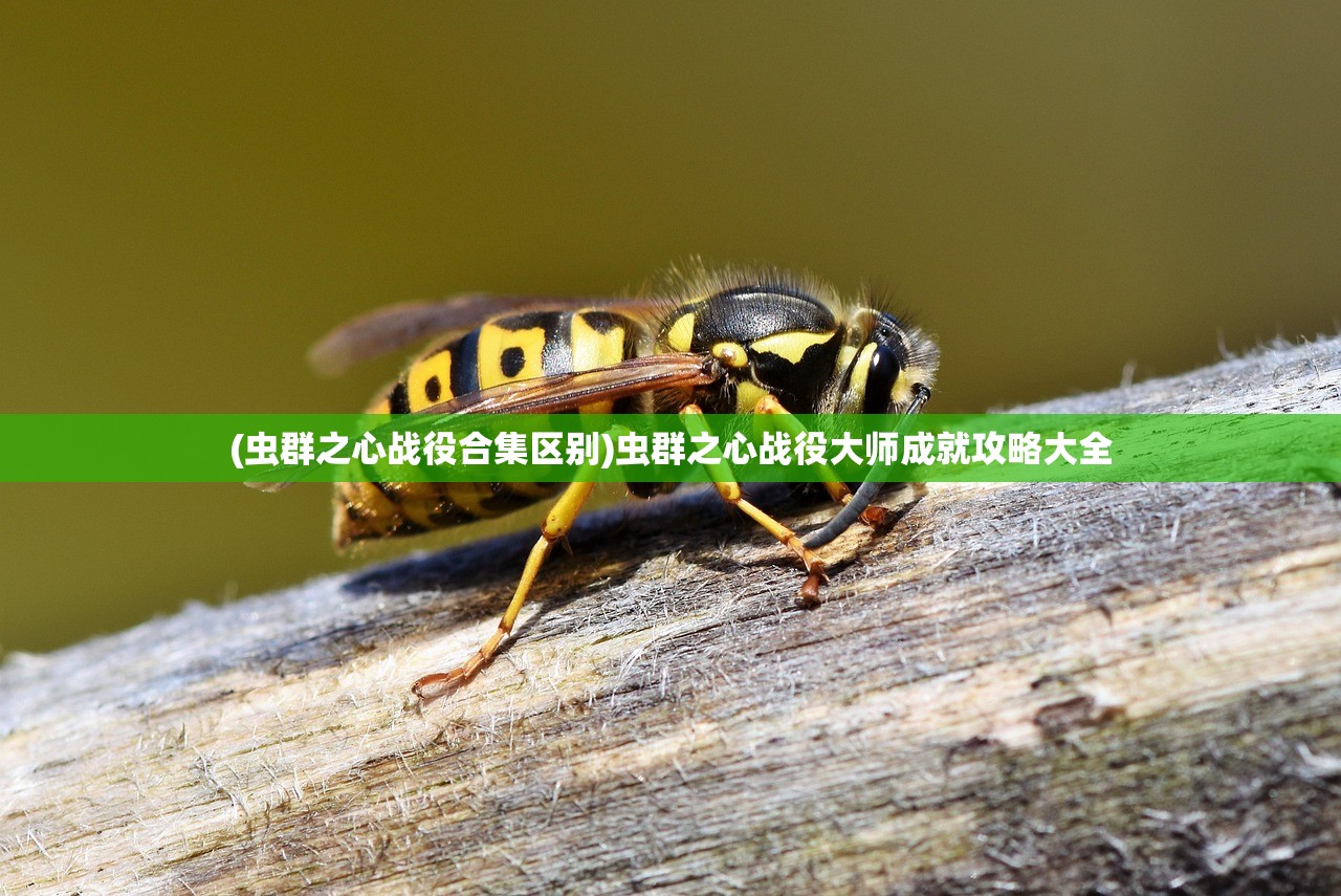 (虫群之心战役合集区别)虫群之心战役大师成就攻略大全