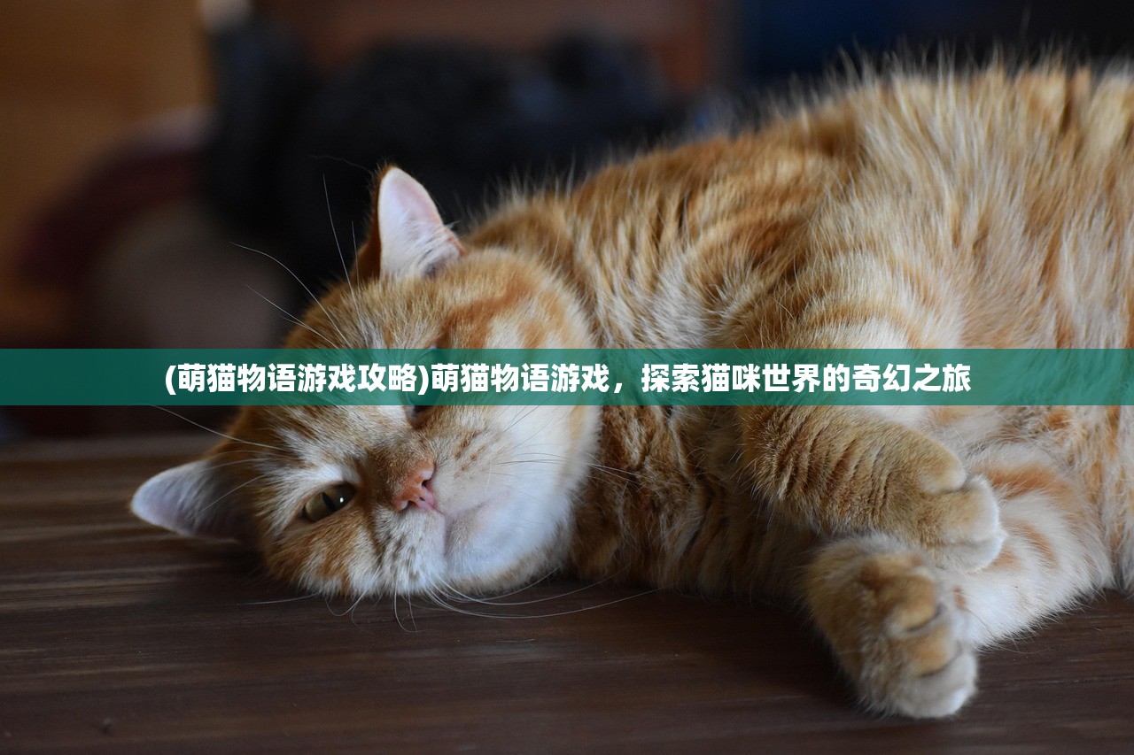 (萌猫物语游戏攻略)萌猫物语游戏，探索猫咪世界的奇幻之旅