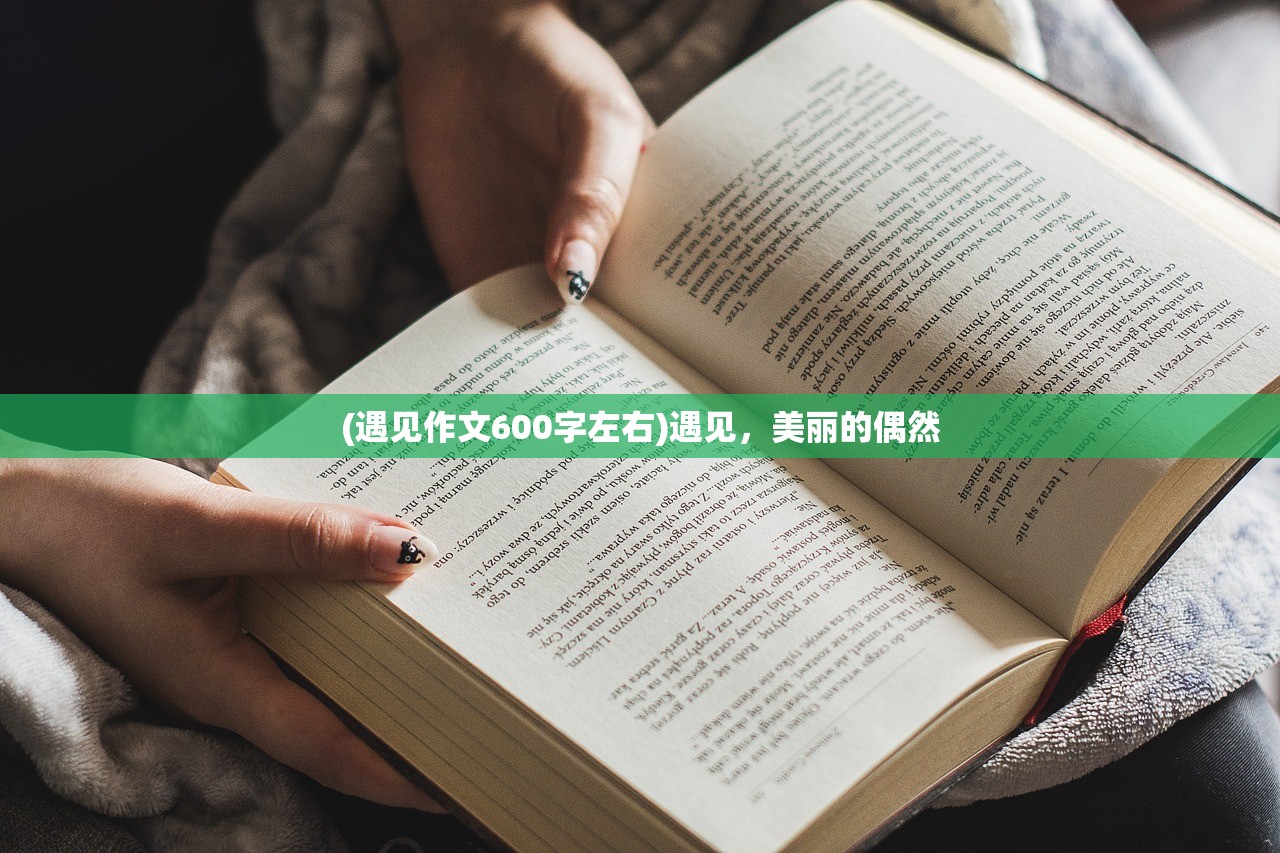 (遇见作文600字左右)遇见，美丽的偶然