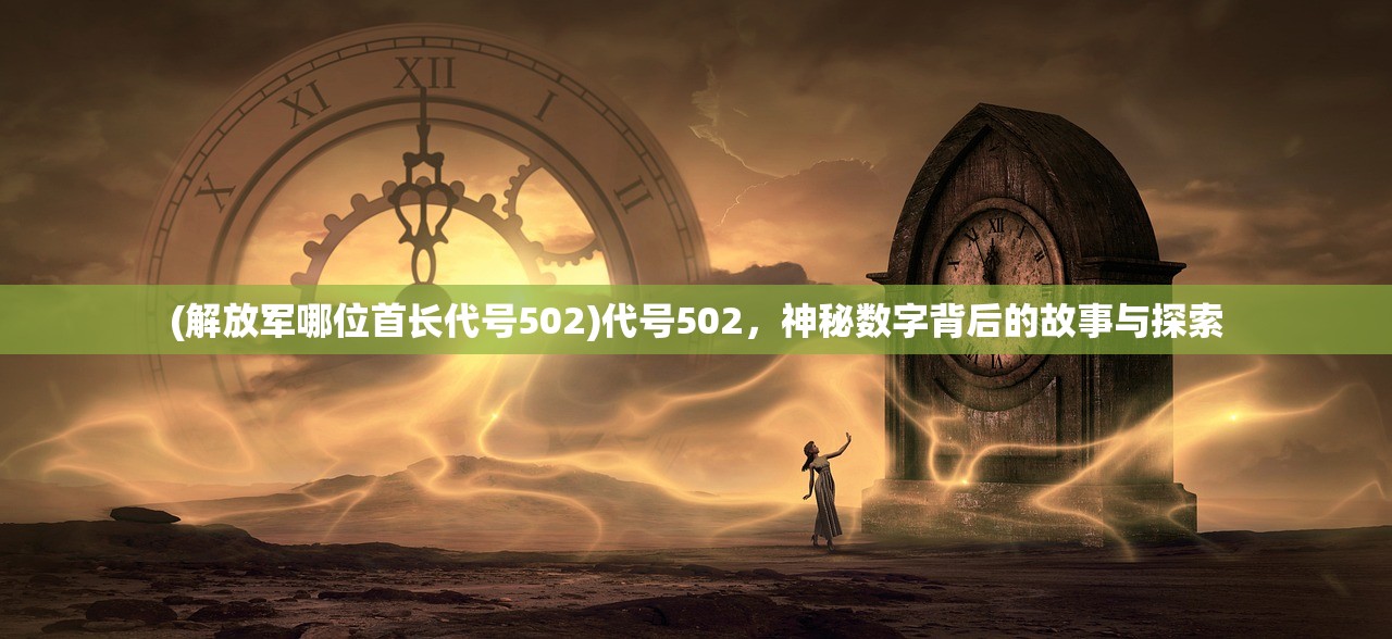 (解放军哪位首长代号502)代号502，神秘数字背后的故事与探索