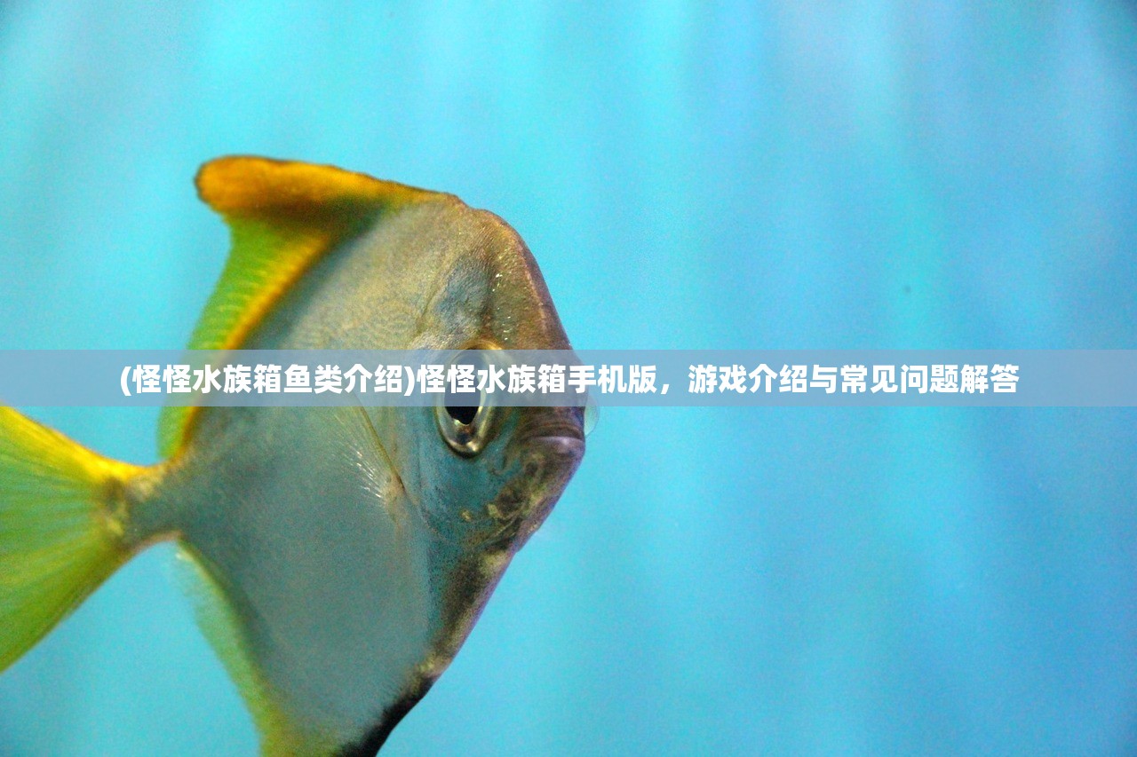 (怪怪水族箱鱼类介绍)怪怪水族箱手机版，游戏介绍与常见问题解答