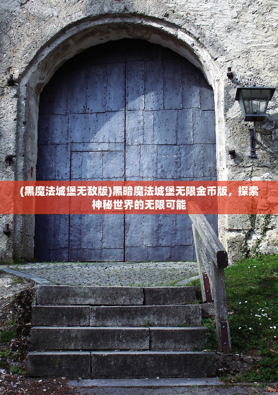 (黑魔法城堡无敌版)黑暗魔法城堡无限金币版，探索神秘世界的无限可能