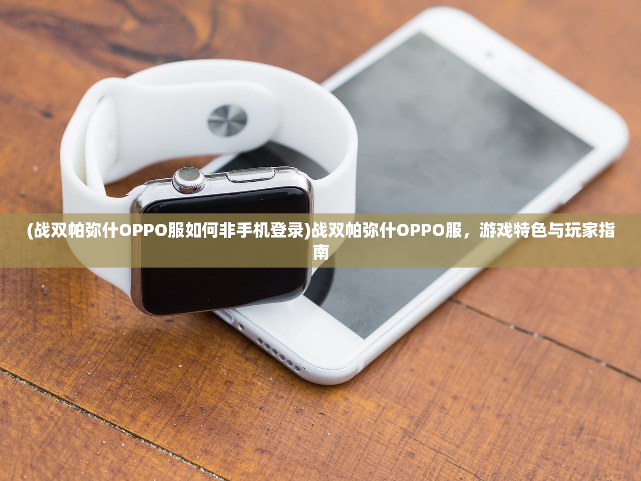 (战双帕弥什OPPO服如何非手机登录)战双帕弥什OPPO服，游戏特色与玩家指南
