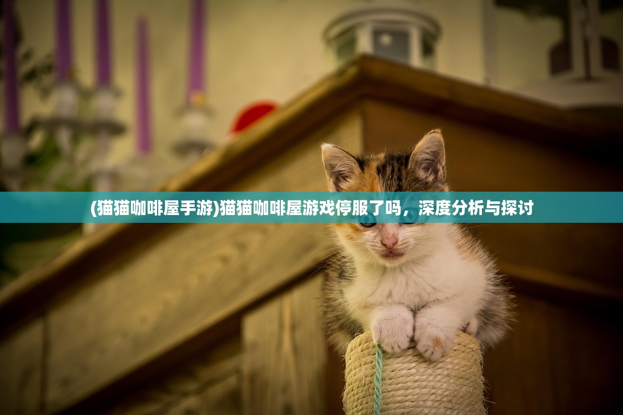 (猫猫咖啡屋手游)猫猫咖啡屋游戏停服了吗，深度分析与探讨