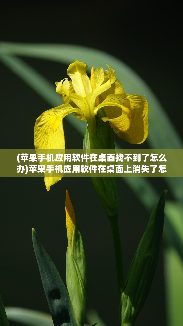 (苹果手机应用软件在桌面找不到了怎么办)苹果手机应用软件在桌面上消失了怎么办？全面解析与常见问答