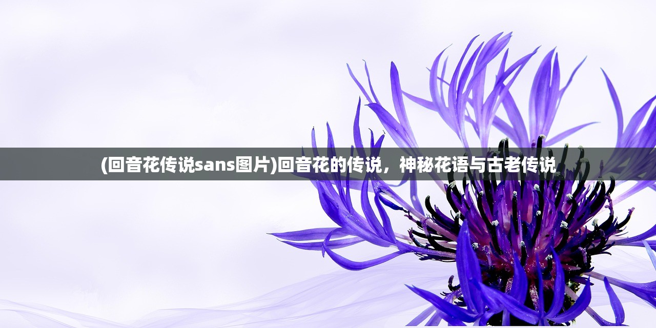 (回音花传说sans图片)回音花的传说，神秘花语与古老传说