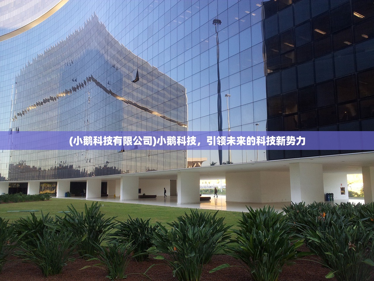 (死战骑士团vip人物)死战骑士团停服了吗，深度分析与探讨