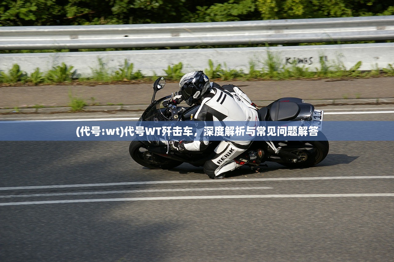 (代号:wt)代号WT歼击车，深度解析与常见问题解答