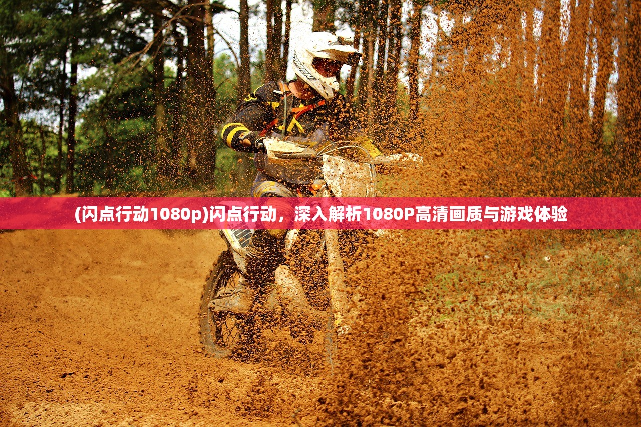 (闪点行动1080p)闪点行动，深入解析1080P高清画质与游戏体验