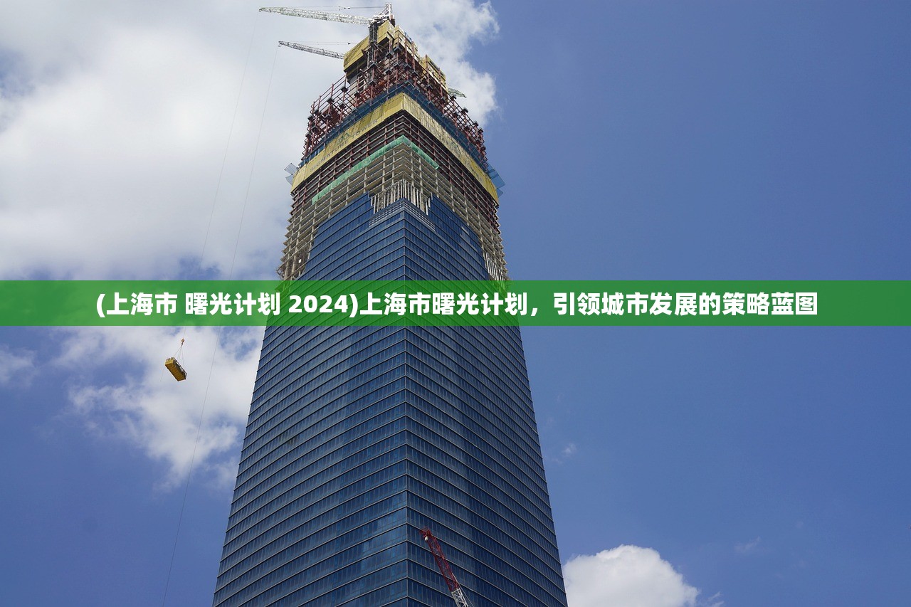 (上海市 曙光计划 2024)上海市曙光计划，引领城市发展的策略蓝图