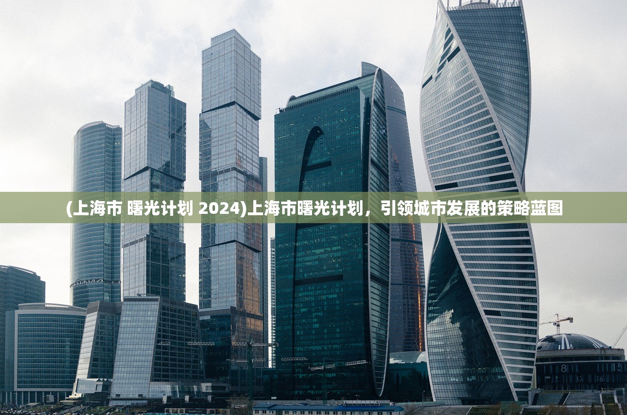 (上海市 曙光计划 2024)上海市曙光计划，引领城市发展的策略蓝图