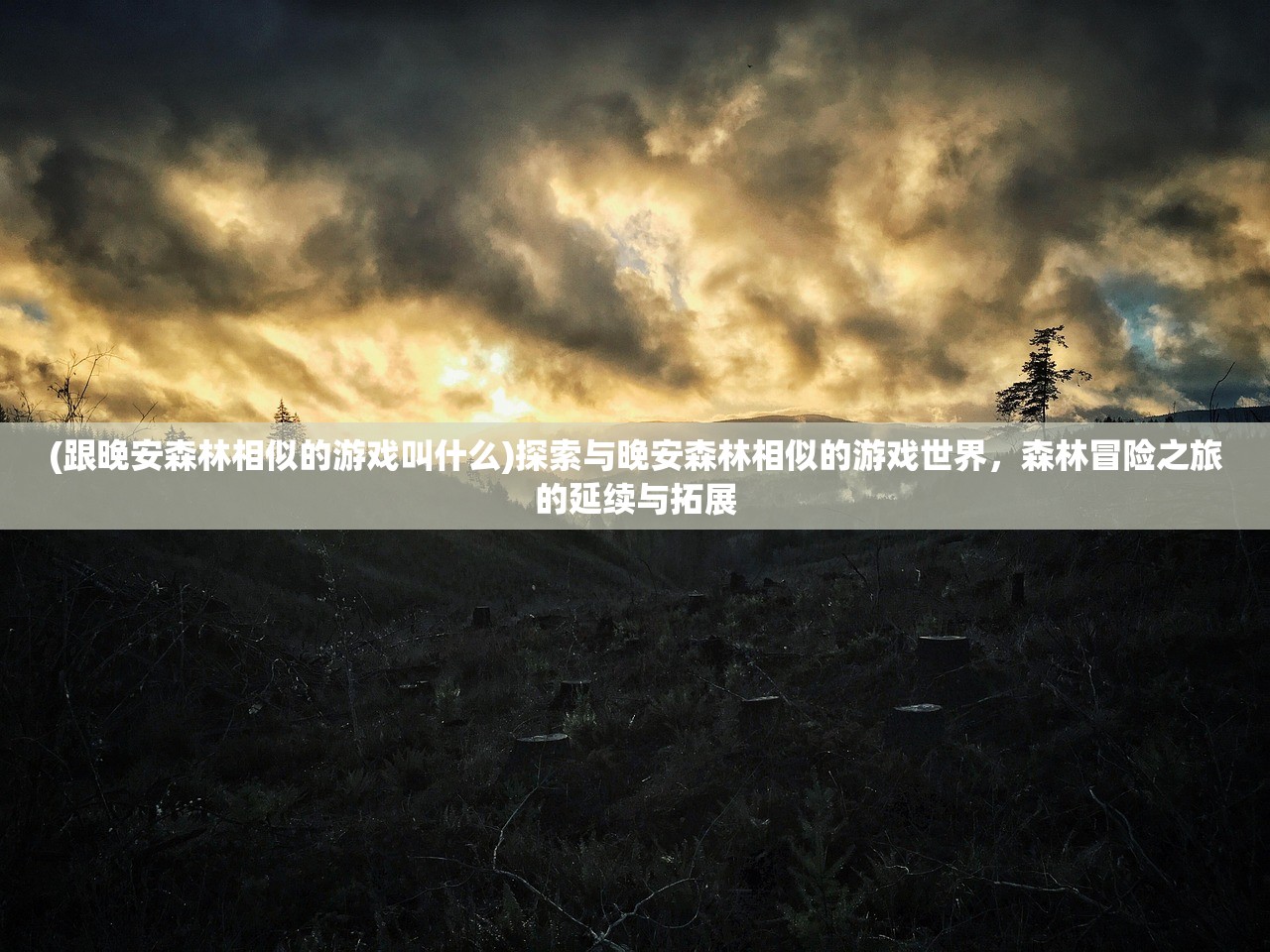 (跟晚安森林相似的游戏叫什么)探索与晚安森林相似的游戏世界，森林冒险之旅的延续与拓展