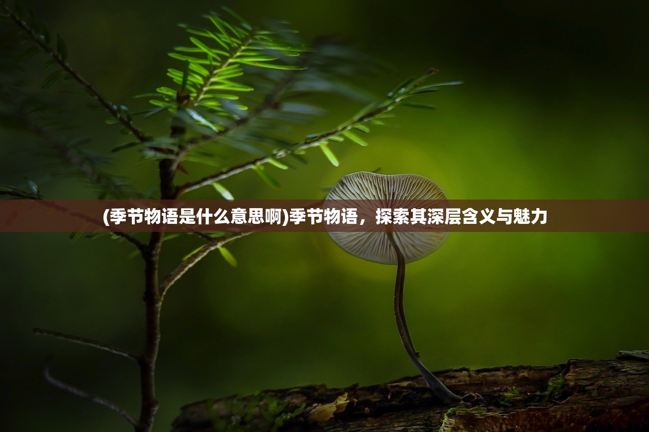 (季节物语是什么意思啊)季节物语，探索其深层含义与魅力