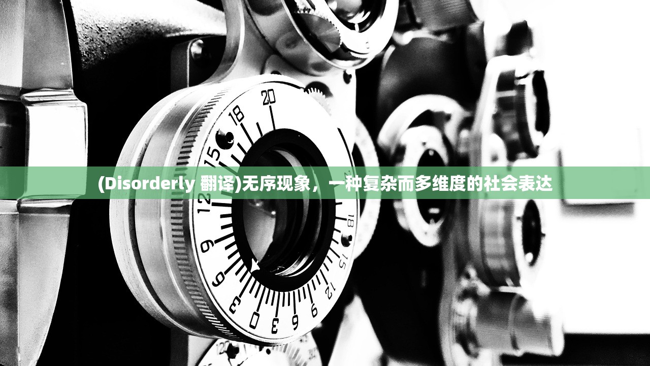 (Disorderly 翻译)无序现象，一种复杂而多维度的社会表达