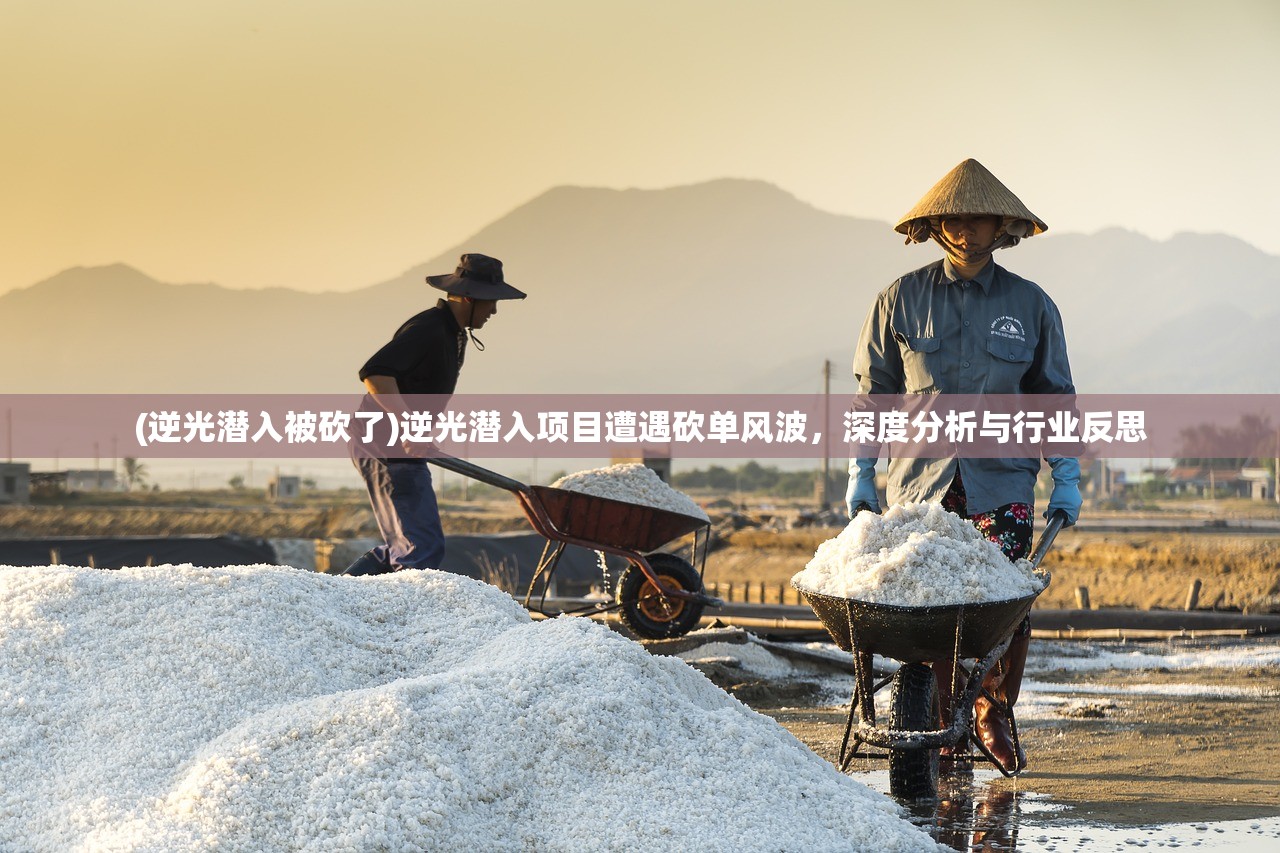 (逆光潜入被砍了)逆光潜入项目遭遇砍单风波，深度分析与行业反思