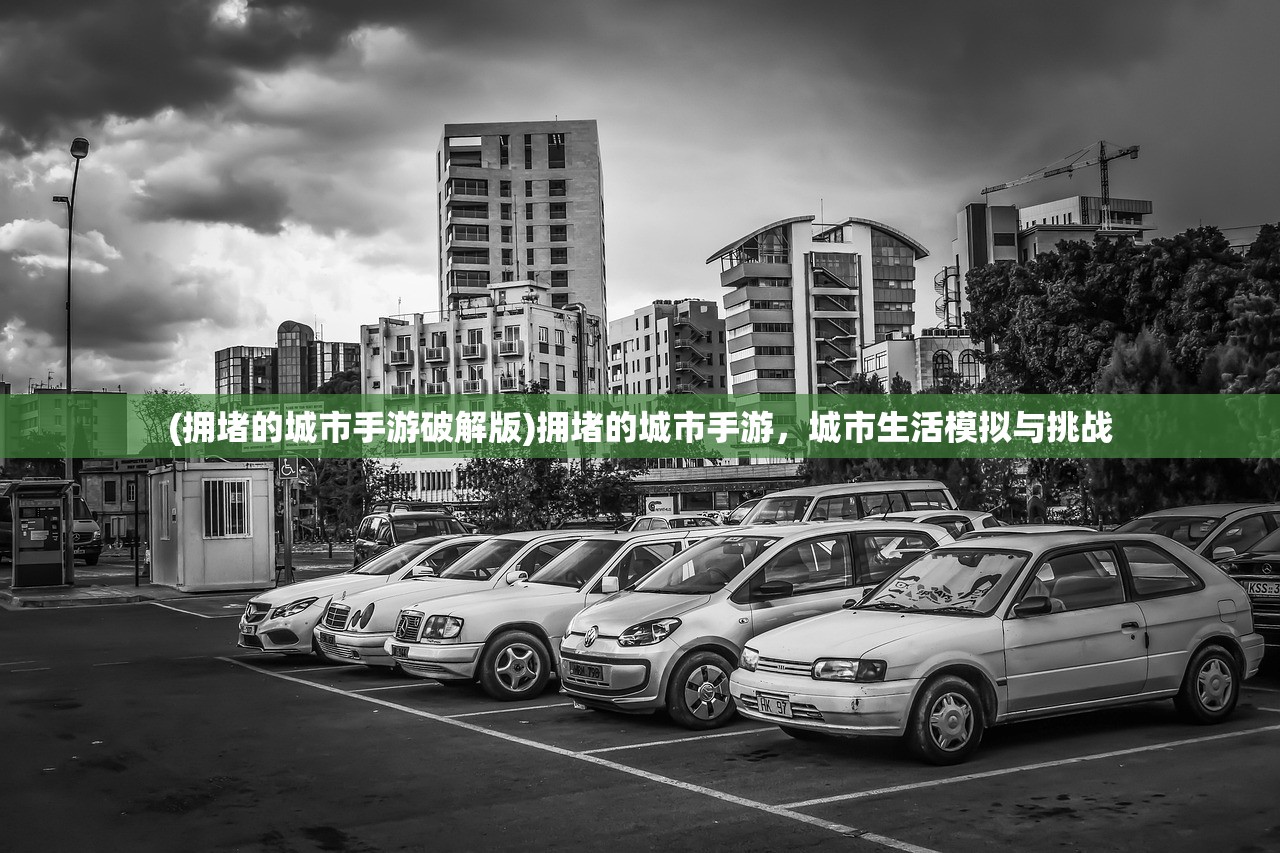 (拥堵的城市手游破解版)拥堵的城市手游，城市生活模拟与挑战