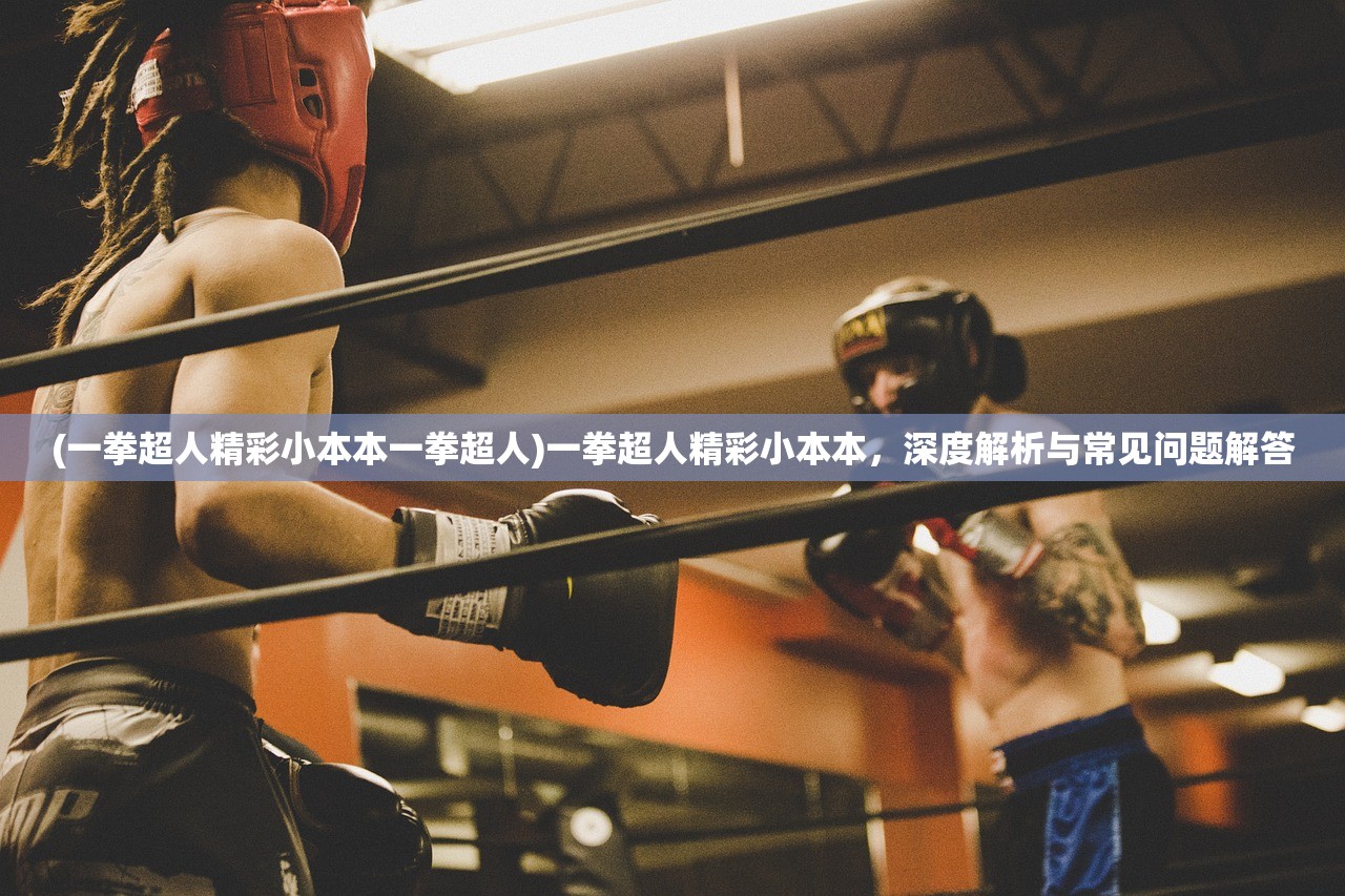 (一拳超人精彩小本本一拳超人)一拳超人精彩小本本，深度解析与常见问题解答