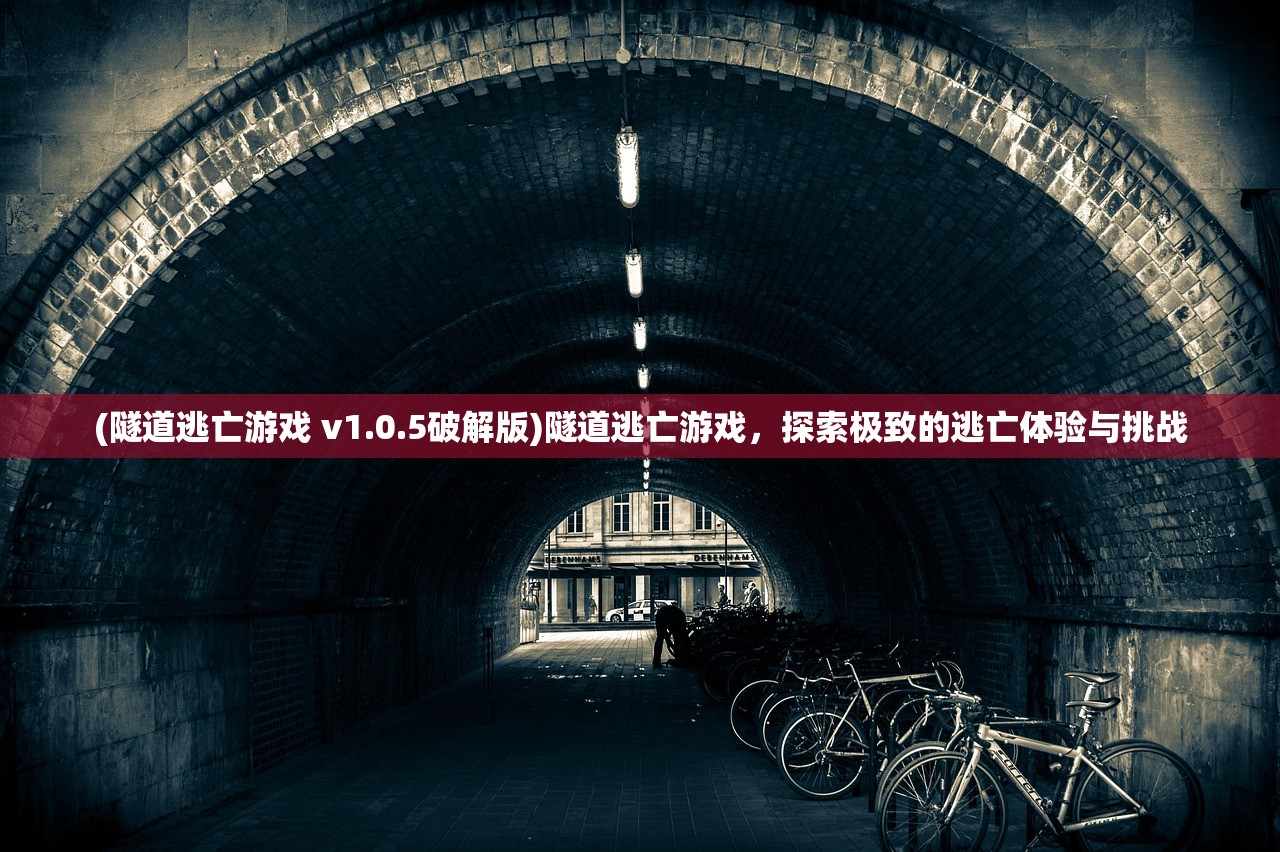 (隧道逃亡游戏 v1.0.5破解版)隧道逃亡游戏，探索极致的逃亡体验与挑战