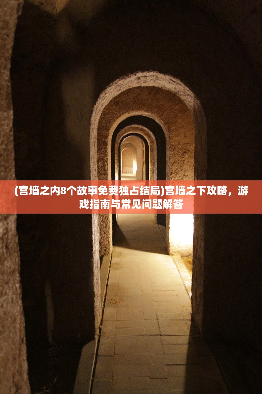 (宫墙之内8个故事免费独占结局)宫墙之下攻略，游戏指南与常见问题解答