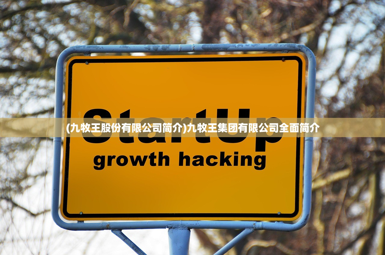 (九牧王股份有限公司简介)九牧王集团有限公司全面简介