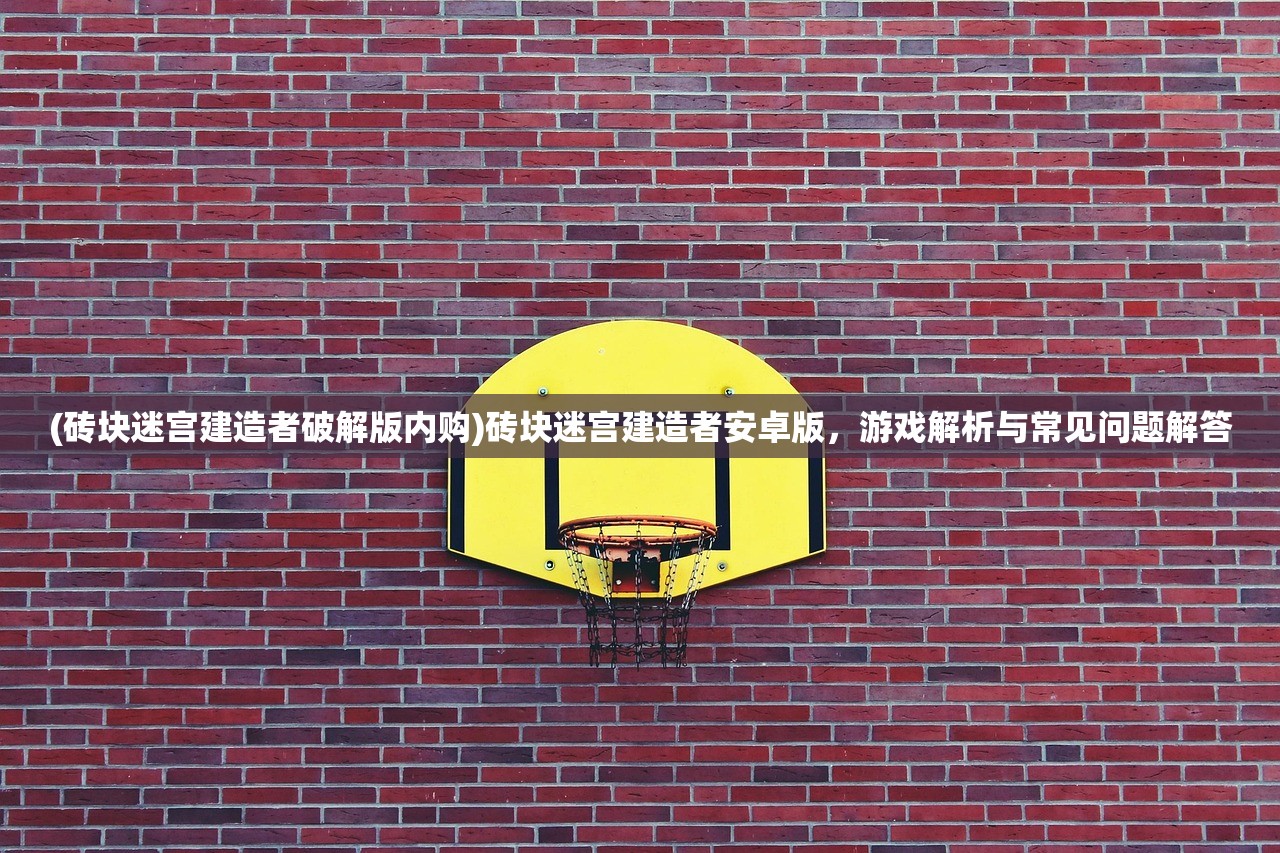 (砖块迷宫建造者破解版内购)砖块迷宫建造者安卓版，游戏解析与常见问题解答