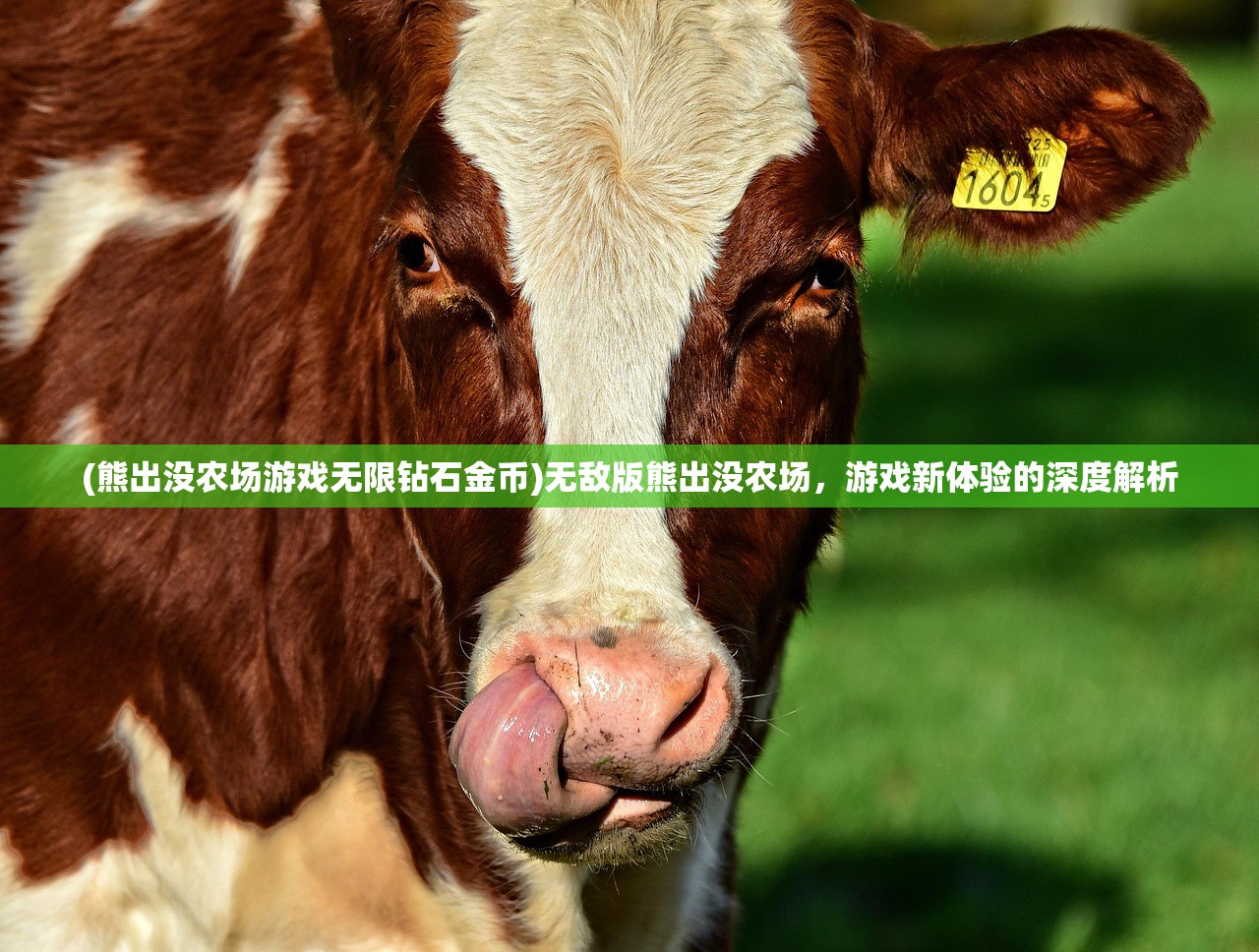 (熊出没农场游戏无限钻石金币)无敌版熊出没农场，游戏新体验的深度解析