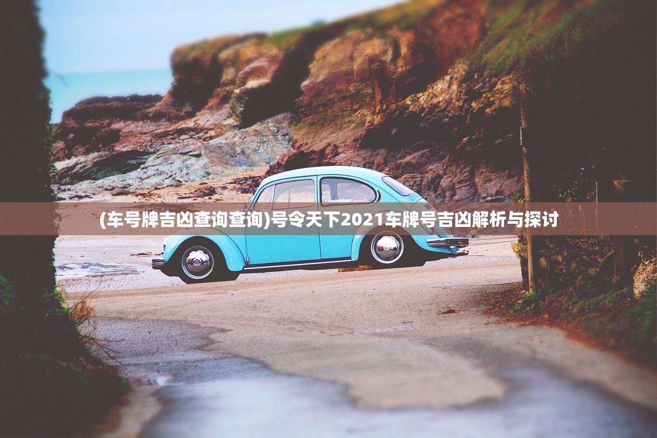 (车号牌吉凶查询查询)号令天下2021车牌号吉凶解析与探讨
