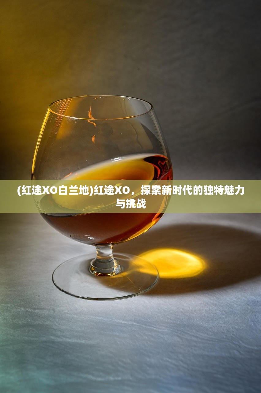(红途XO白兰地)红途XO，探索新时代的独特魅力与挑战