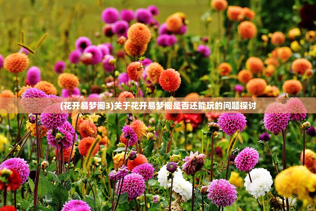 (无限暖暖什么时候上线正式服)无限暖暖上线时间揭秘，全新游戏体验即将来临？