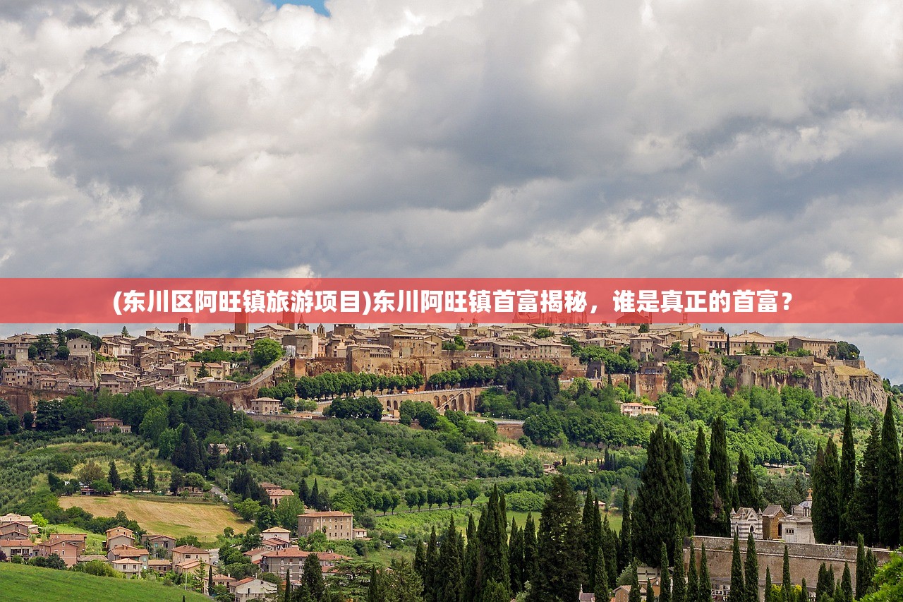(东川区阿旺镇旅游项目)东川阿旺镇首富揭秘，谁是真正的首富？