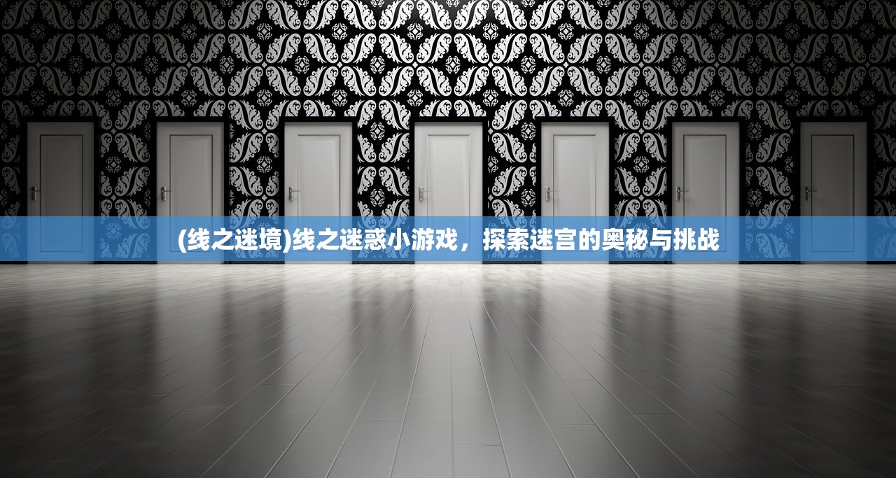 (线之迷境)线之迷惑小游戏，探索迷宫的奥秘与挑战