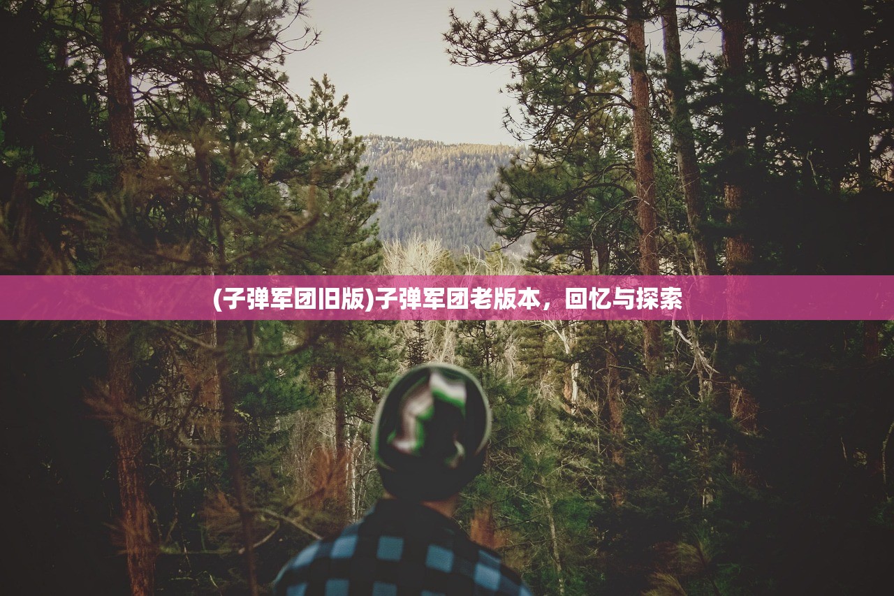 (子弹军团旧版)子弹军团老版本，回忆与探索