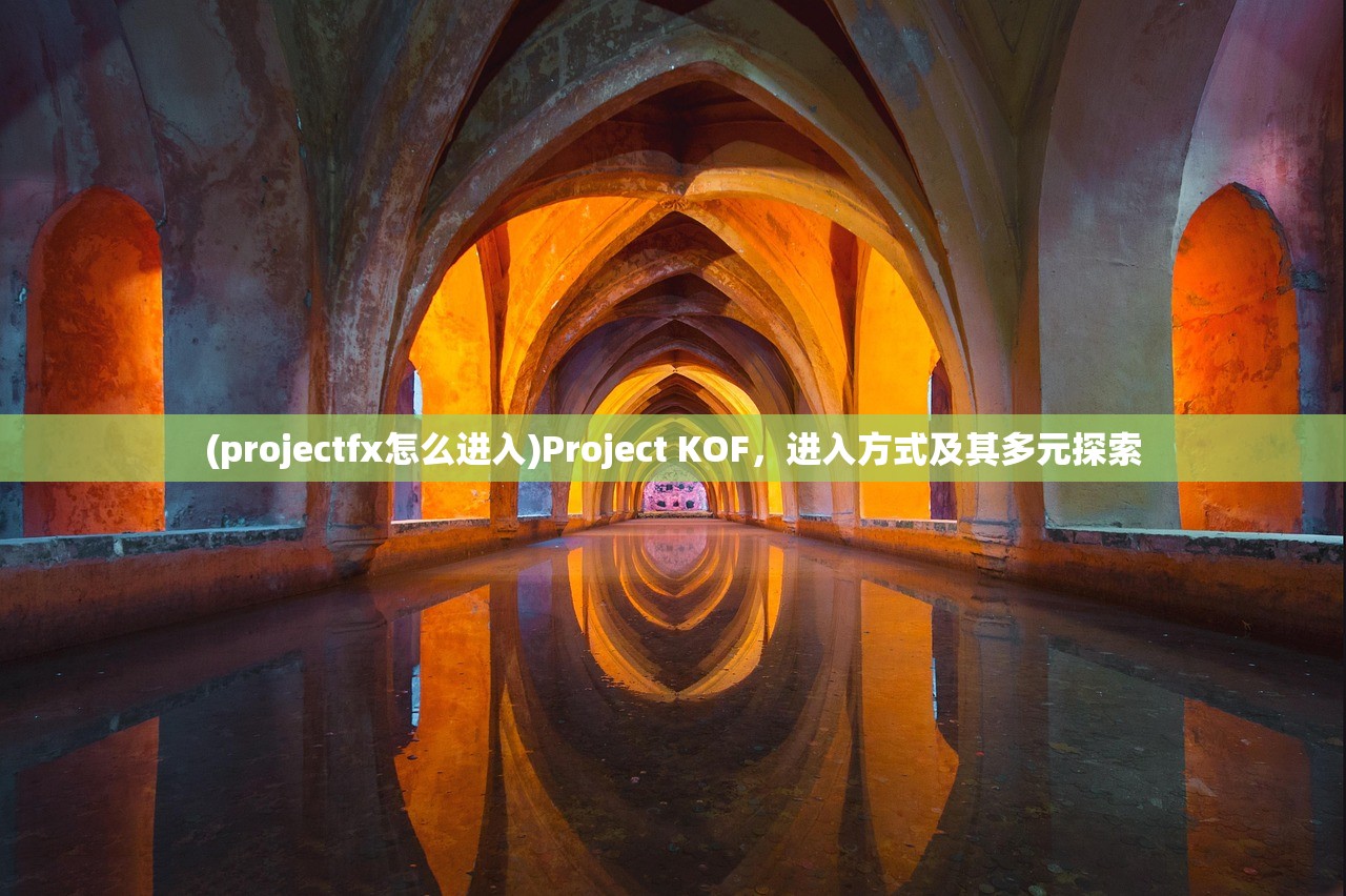 (projectfx怎么进入)Project KOF，进入方式及其多元探索