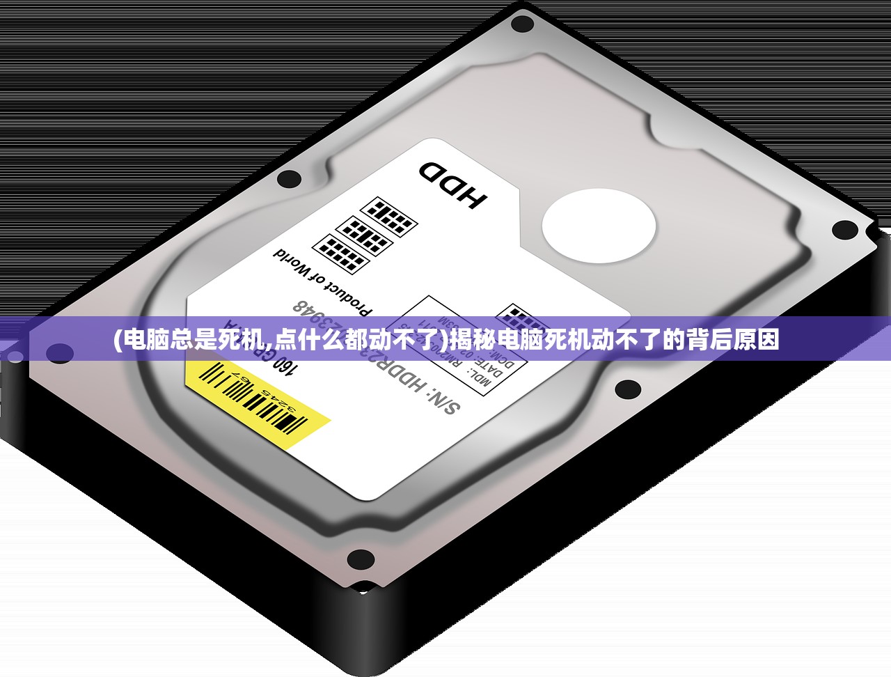 (电脑总是死机,点什么都动不了)揭秘电脑死机动不了的背后原因