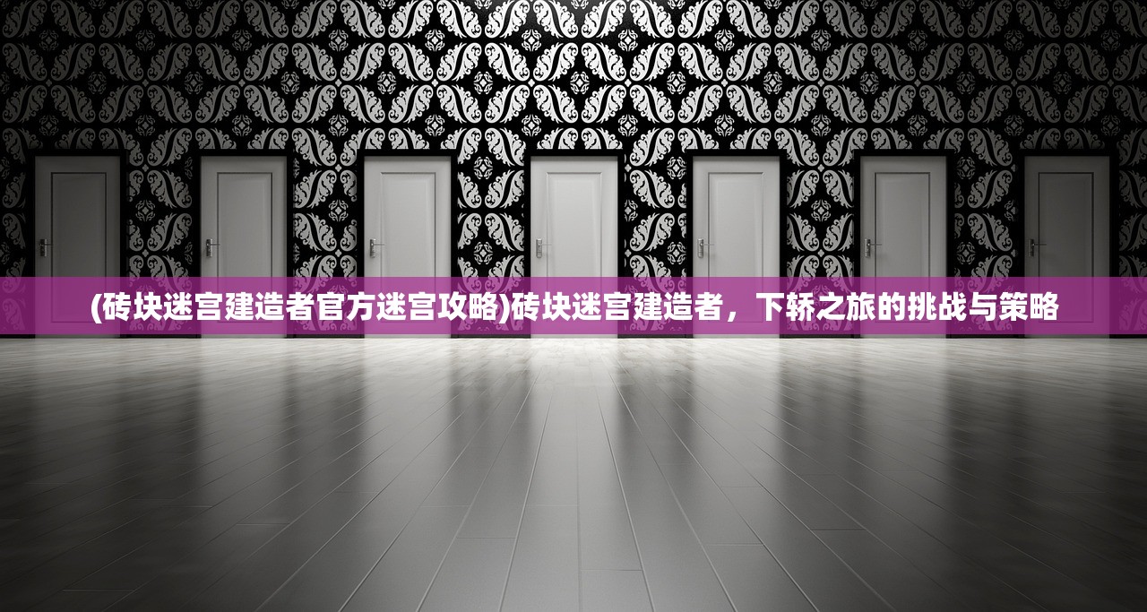 (砖块迷宫建造者官方迷宫攻略)砖块迷宫建造者，下轿之旅的挑战与策略