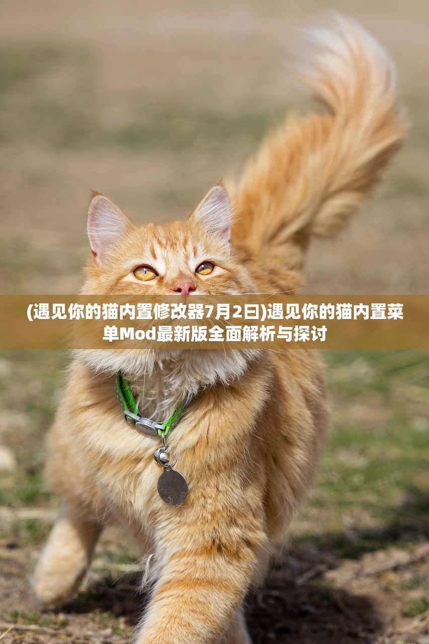 (遇见你的猫内置修改器7月2曰)遇见你的猫内置菜单Mod最新版全面解析与探讨