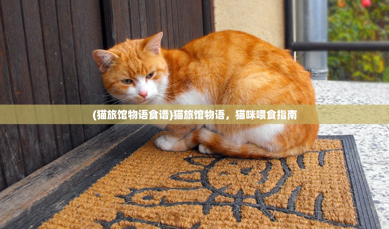 (武功来了2024)武功来了2，新一代武侠风潮的崛起与挑战