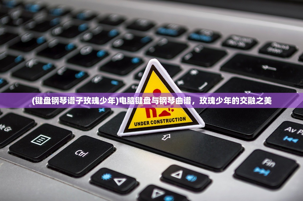 (键盘钢琴谱子玫瑰少年)电脑键盘与钢琴曲谱，玫瑰少年的交融之美