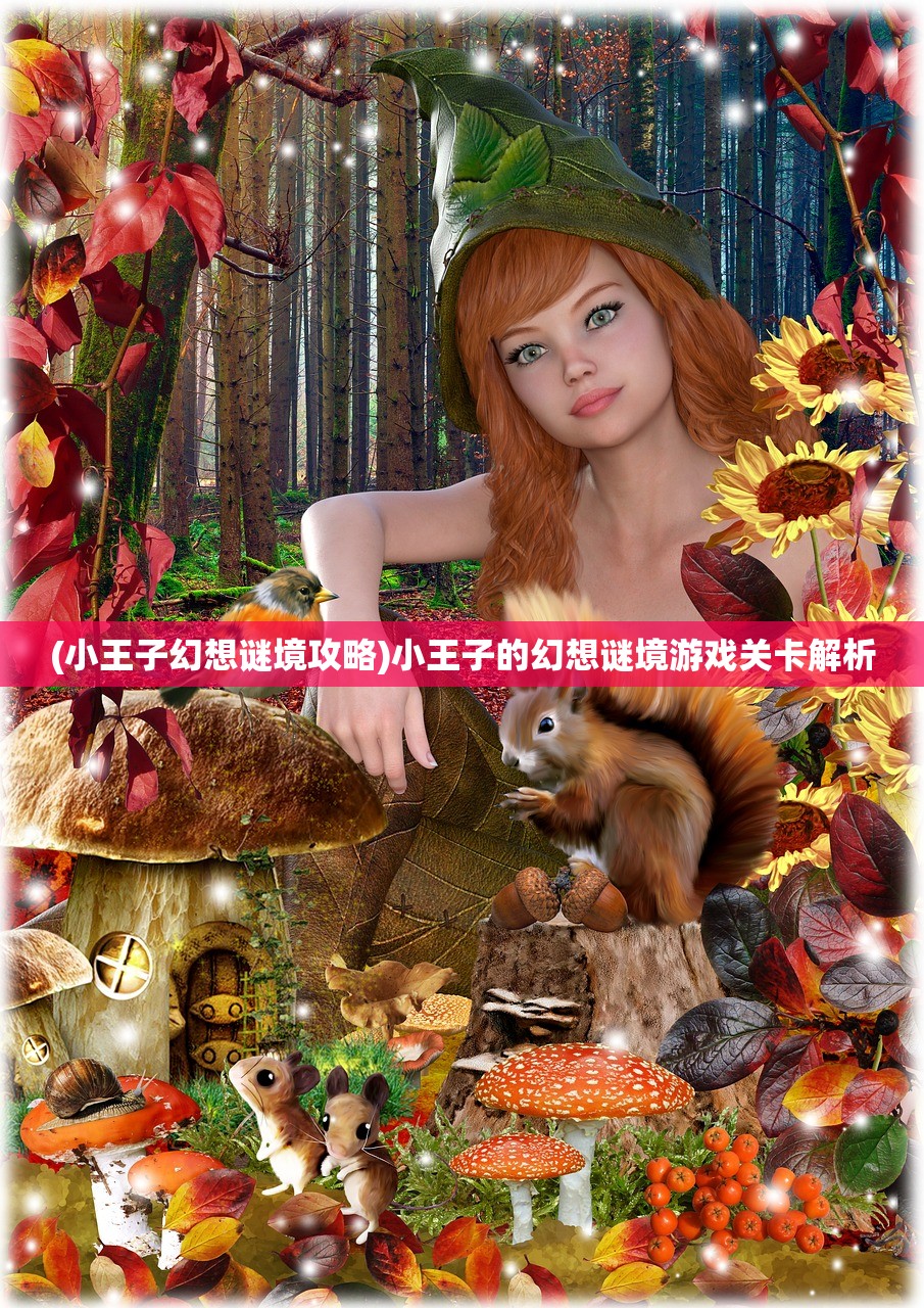 (风色幻想6详细攻略)风色幻想6攻略电子书全面解析及常见问题解答