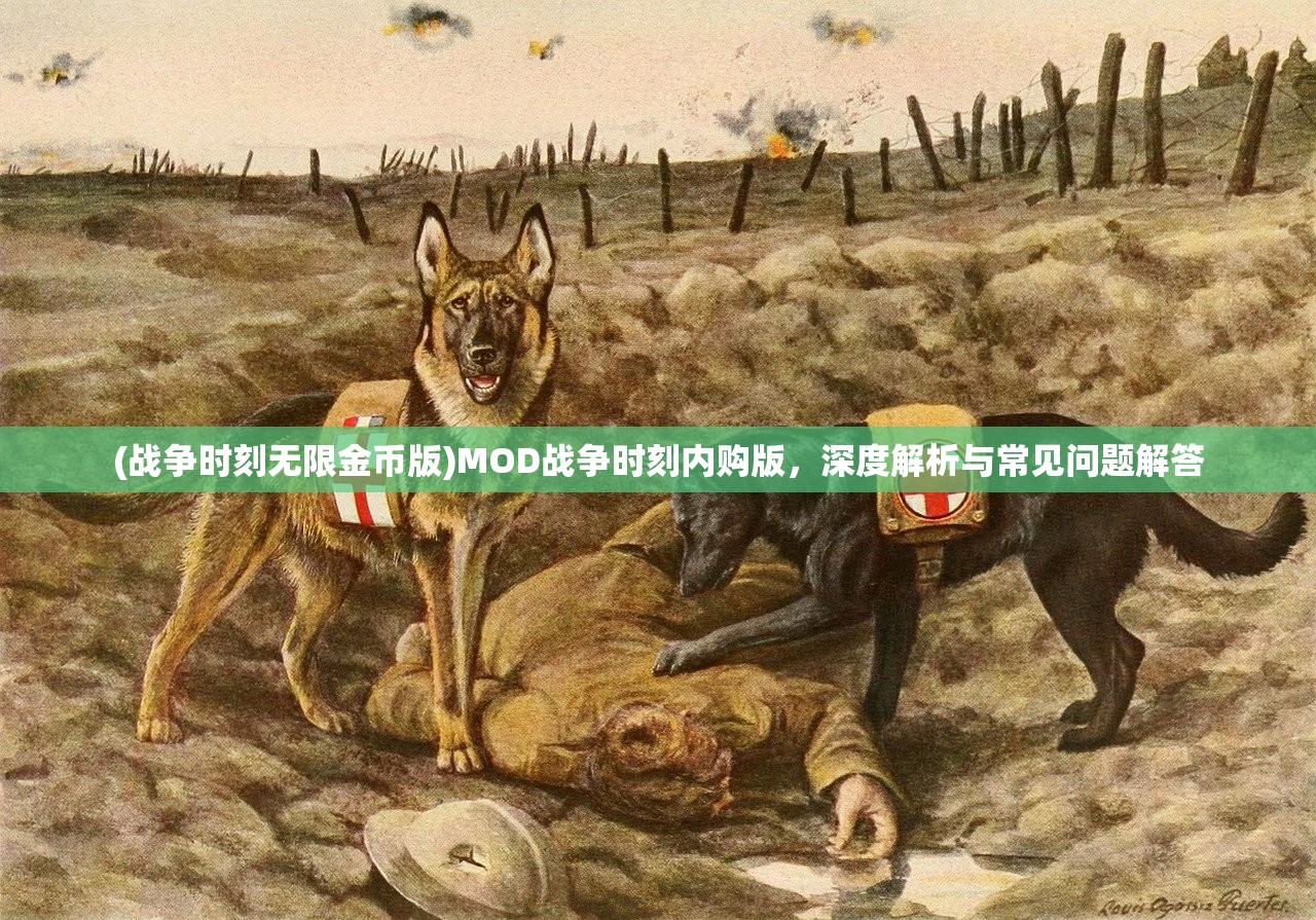 (战争时刻无限金币版)MOD战争时刻内购版，深度解析与常见问题解答