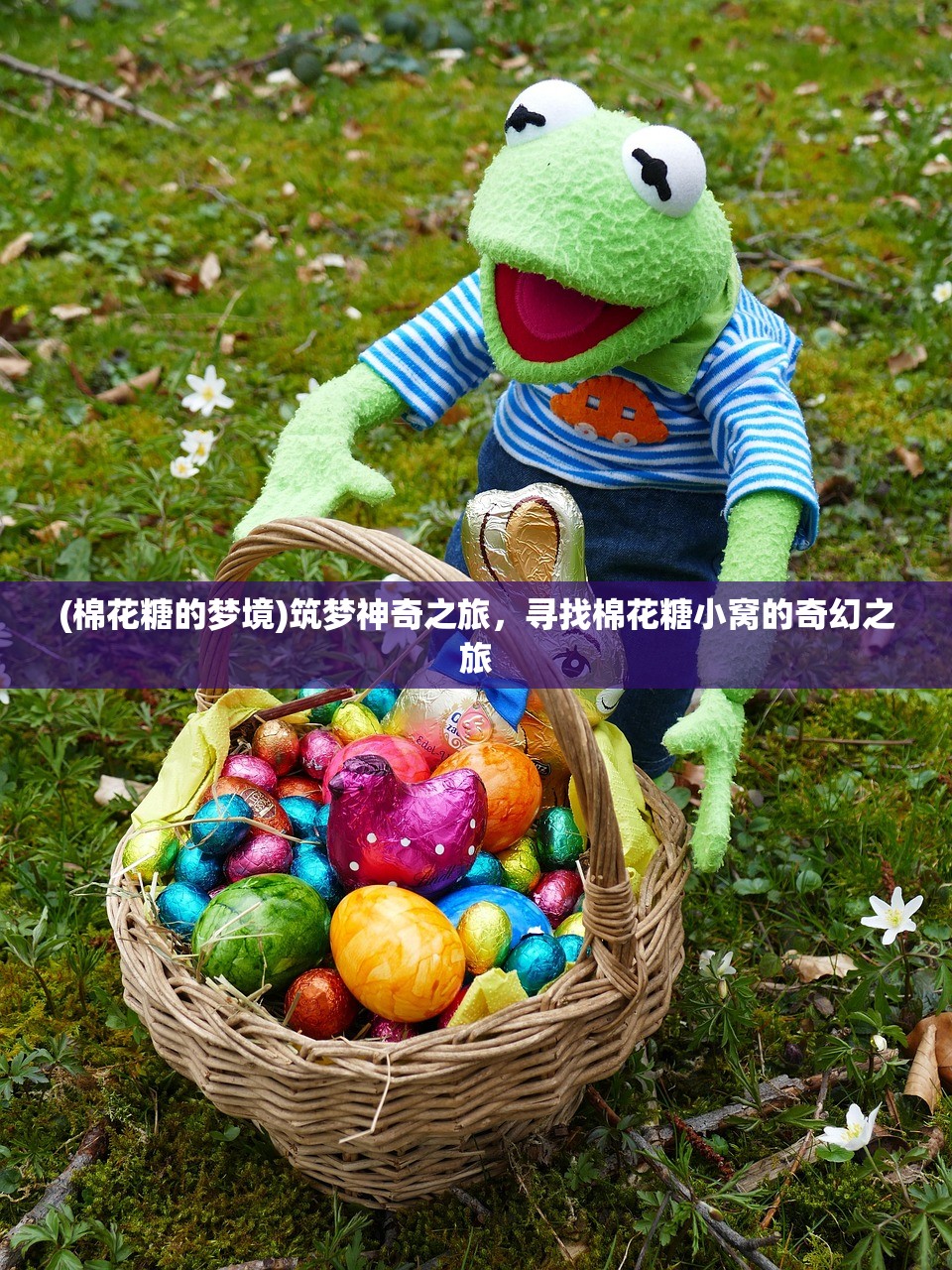 (棉花糖的梦境)筑梦神奇之旅，寻找棉花糖小窝的奇幻之旅
