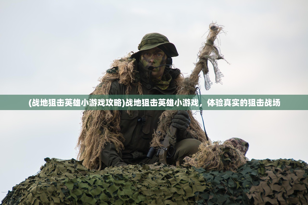 (战地狙击英雄小游戏攻略)战地狙击英雄小游戏，体验真实的狙击战场
