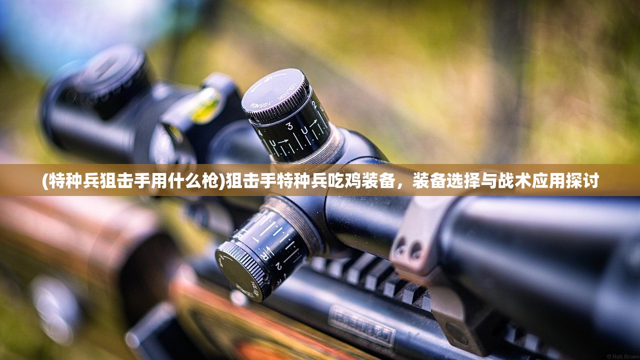 (特种兵狙击手用什么枪)狙击手特种兵吃鸡装备，装备选择与战术应用探讨