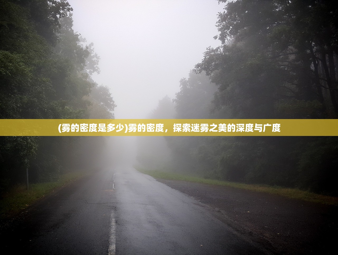 (雾的密度是多少)雾的密度，探索迷雾之美的深度与广度