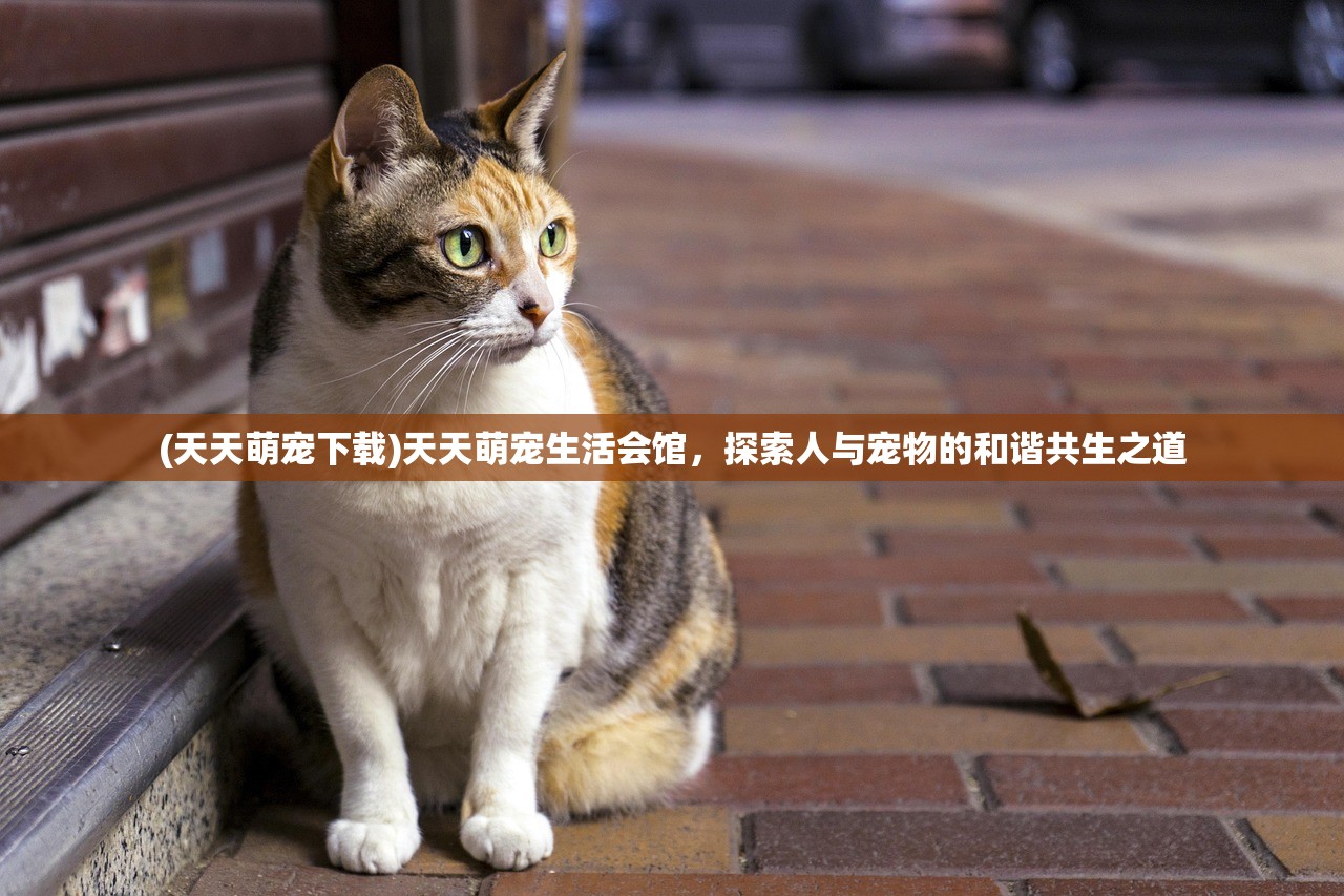 (天天萌宠下载)天天萌宠生活会馆，探索人与宠物的和谐共生之道