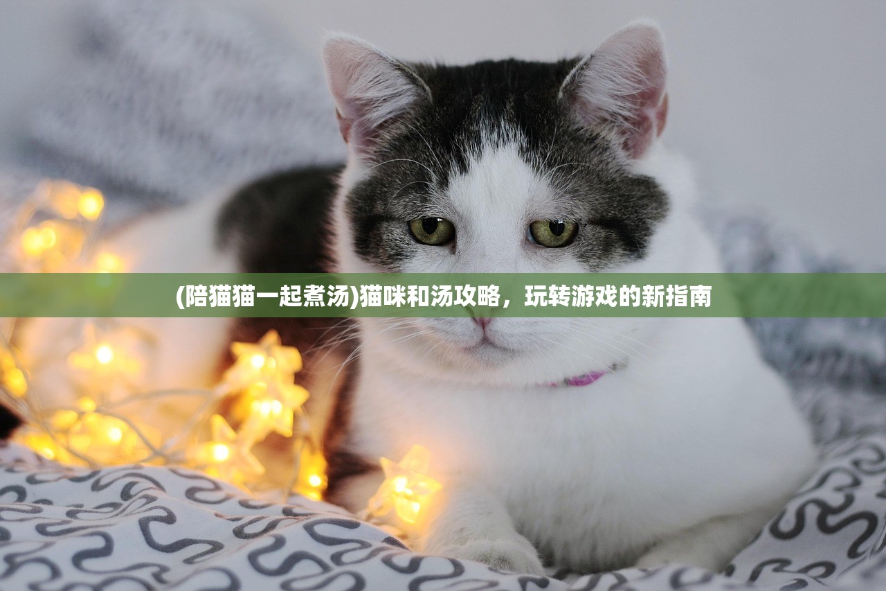 (陪猫猫一起煮汤)猫咪和汤攻略，玩转游戏的新指南